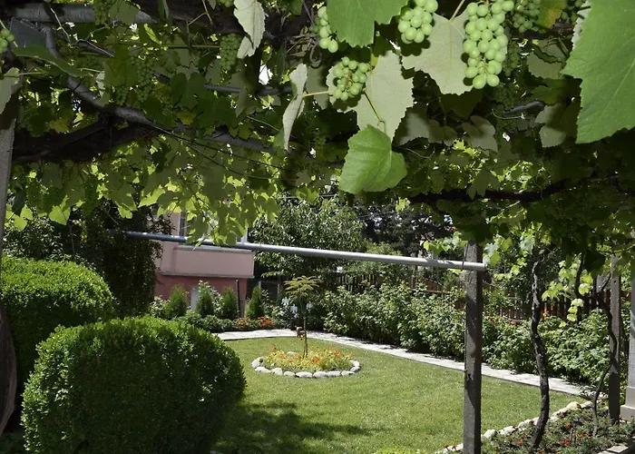 Homestay за гости 